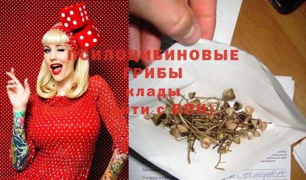 тгк Беломорск