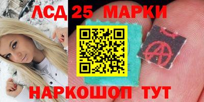 амф Можга