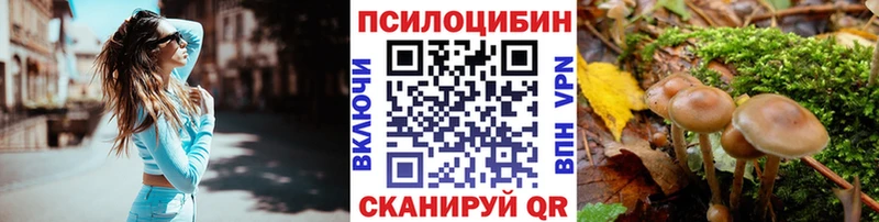 Галлюциногенные грибы Magic Shrooms  Бутурлиновка 